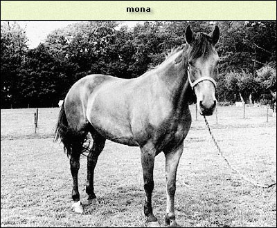Mona
