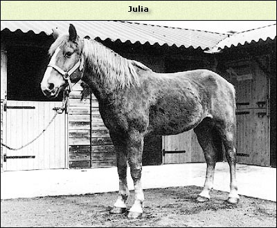 Julia