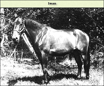 Iwan