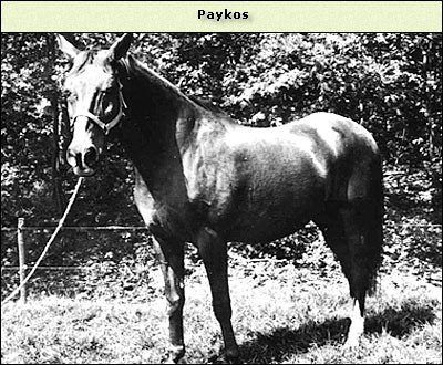 Paykos
