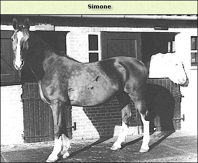 Simone