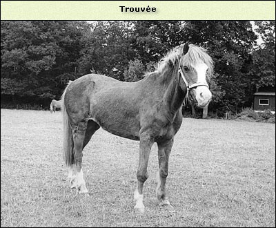 Trouvée