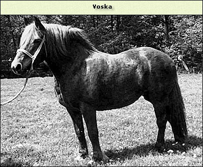 Voska
