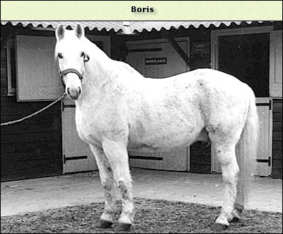 Boris