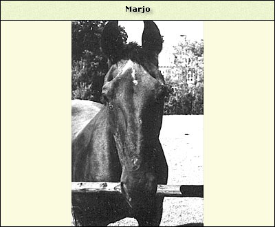 Marjo