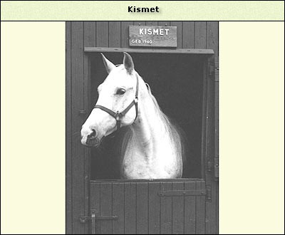 Kismet