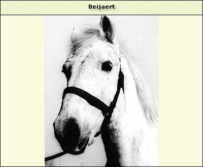 Beijaert