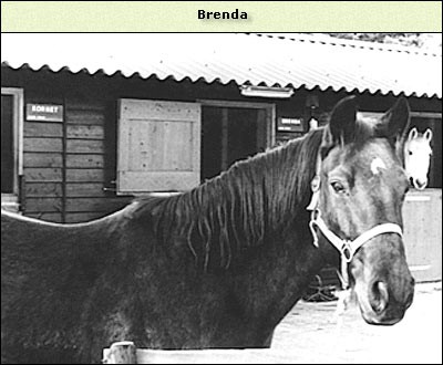 Brenda
