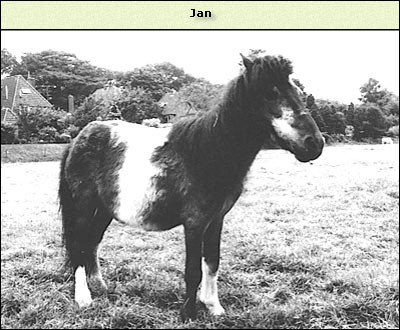 Jan(tje)