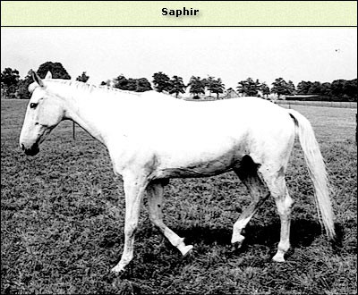 Saphir