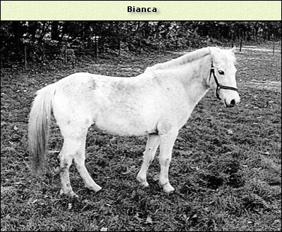 Bianca