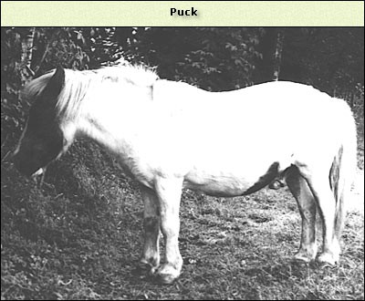 Puck