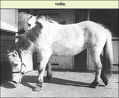 Nella