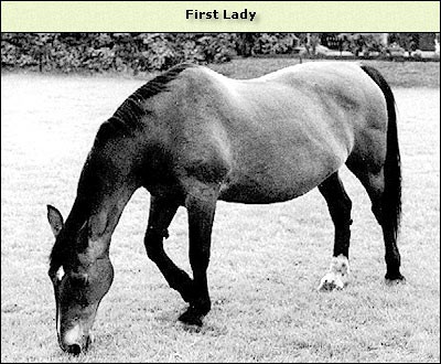 First Lady