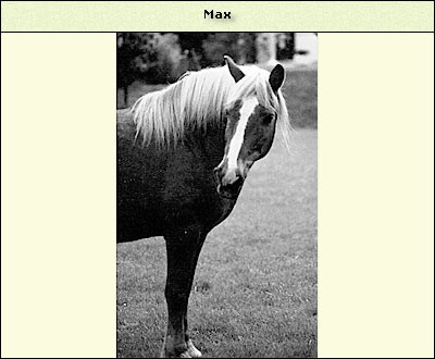 Max