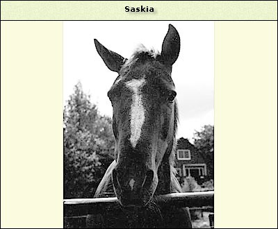 Saskia I