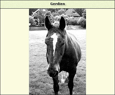 Gerdien