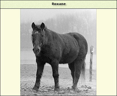 Roxane