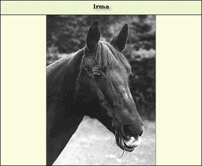 Irma