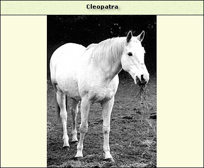 Cleopatra