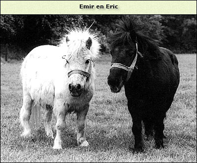 Emir (met Erik)