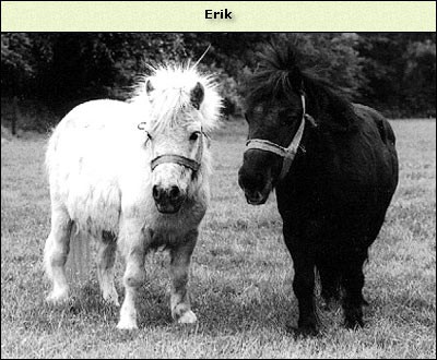 Erik