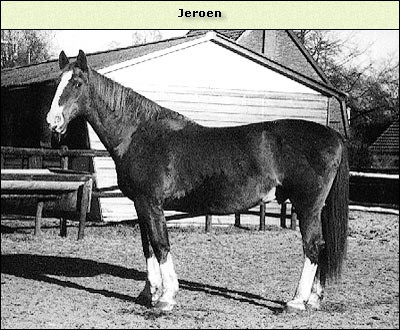 Jeroen