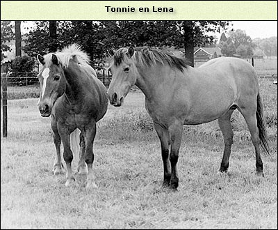 Lena (met Tonnie)