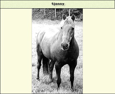 Sjonny
