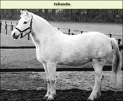Jolianda