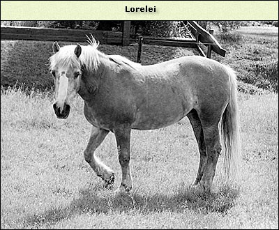 Lorelei