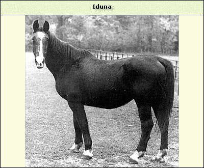 Iduna