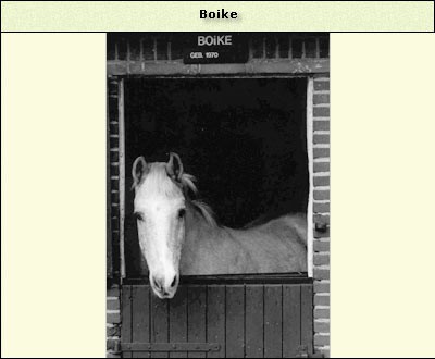 Boike