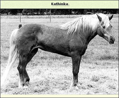Kathinka