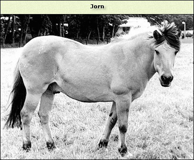 Jorn