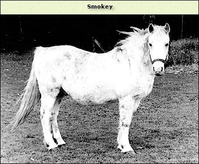 Smokey