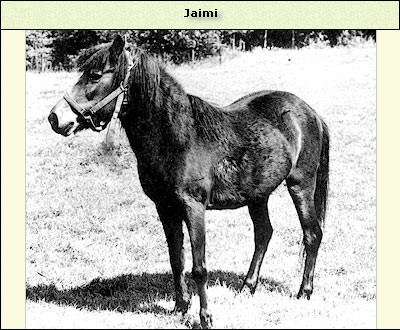 Jaimi