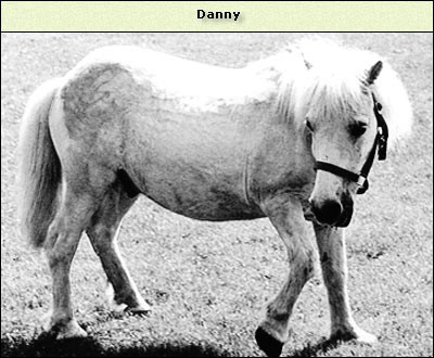 Danny