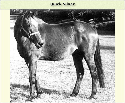 Quick Silver