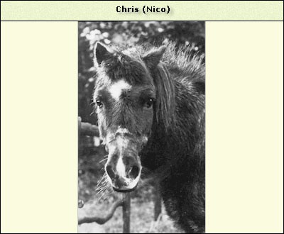 Chris alias Nico