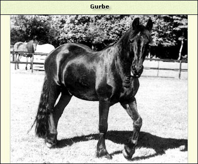 Gurbe