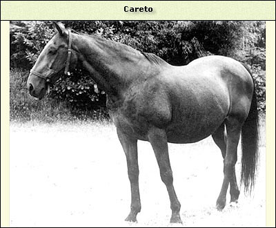 Careto