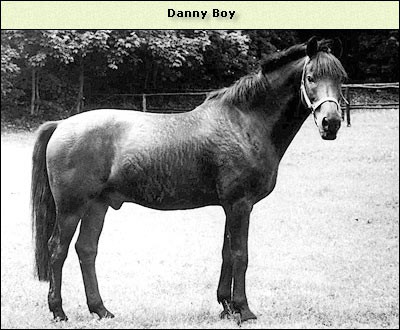Danny Boy