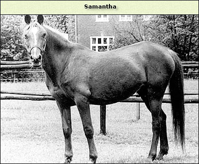 Samantha