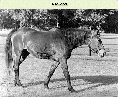 Csardas