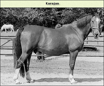 Karajan