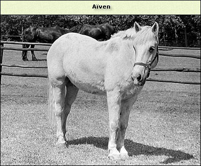 Aiven