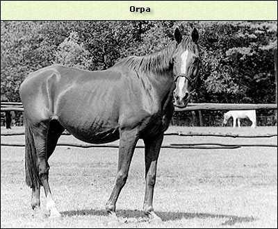 Orpa