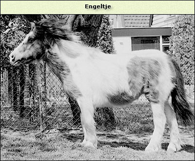 Engeltje