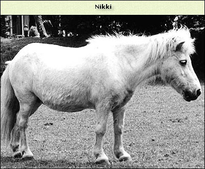 Nicky